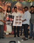 brothers-movie-audio-launch-45