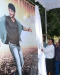 ntr-at-aadi-s-new-movie-launch-8