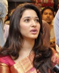 tamanna-launches-womans-world-show-room-45