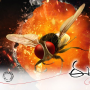 Eega First day collections