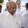 Pawar allays fears over paddy crop