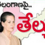 Decision on Telangana as early as possible – Shinde