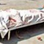 INJA SARVESHWAR REDDY MURDERED IN KURNOOL