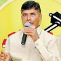 TDP counter to TRS Chalo Assembly