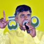 YSRCP is one and half district party: Chandrababu