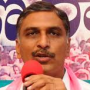 TRS Party Allows Seemandhra People Heartfully:Harish Rao