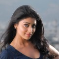 Shriya (5)