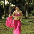 Tapsee (12)