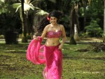 Tapsee (12)