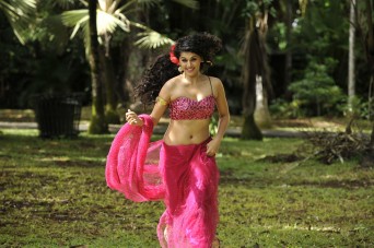 Tapsee (12)